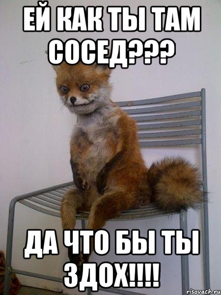 ей как ты там сосед??? да что бы ты здох!!!, Мем Упоротая лиса