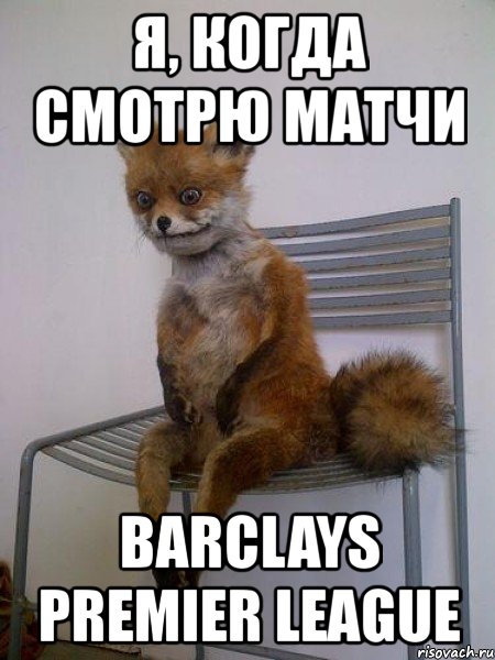 я, когда смотрю матчи barclays premier league, Мем Упоротая лиса