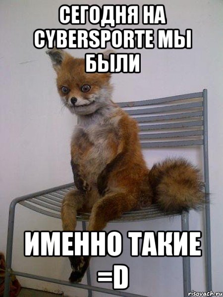 сегодня на cybersporte мы были именно такие =d, Мем Упоротая лиса