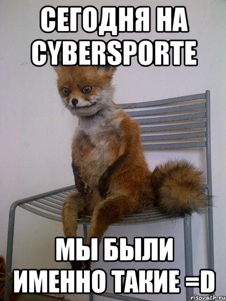 сегодня на cybersporte мы были именно такие =d, Мем Упоротая лиса