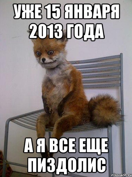 уже 15 января 2013 года а я все еще пиздолис, Мем Упоротая лиса