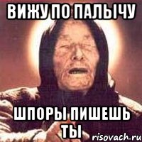 вижу по палычу шпоры пишешь ты, Мем Ванга (цвет)