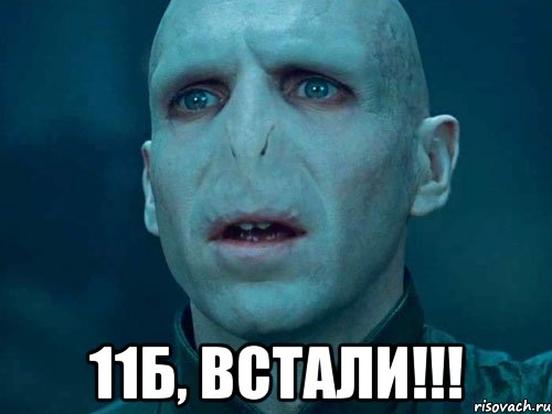  11б, встали!!!, Мем Волан де Морт