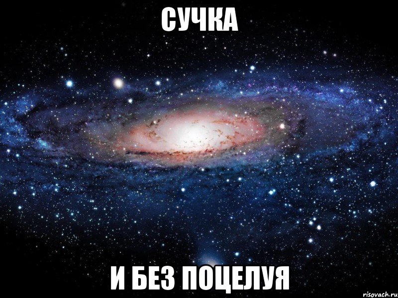 сучка и без поцелуя, Мем Вселенная