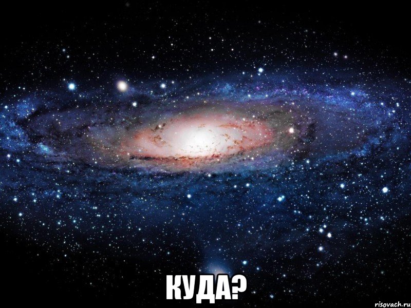  куда?, Мем Вселенная