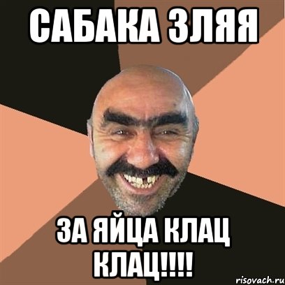 сабака зляя за яйца клац клац!!!, Мем Я твой дом труба шатал