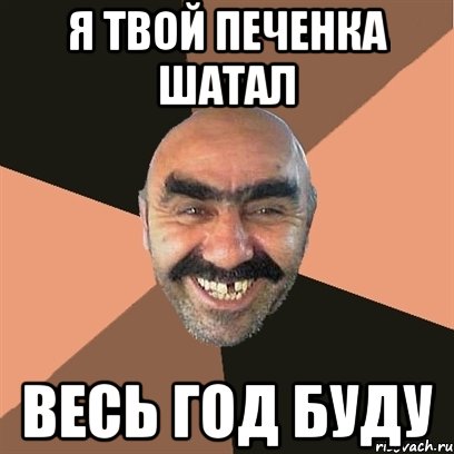 я твой печенка шатал весь год буду, Мем Я твой дом труба шатал