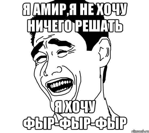 я амир,я не хочу ничего решать я хочу фыр-фыр-фыр, Мем Яо минг