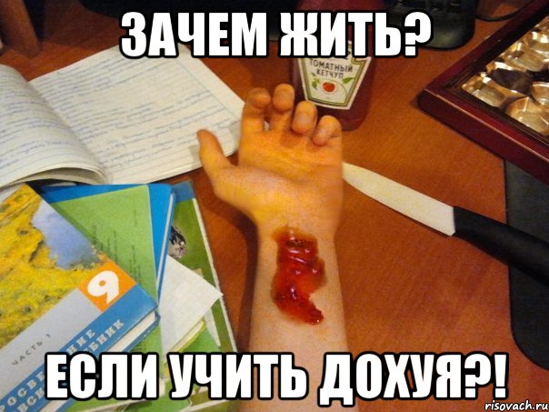 зачем жить? если учить дохуя?!