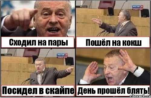 Сходил на пары Пошёл на кокш Посидел в скайпе День прошёл блять!, Комикс жиреновский