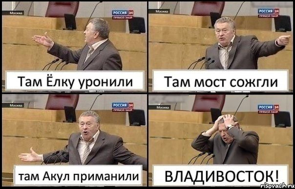 Там Ёлку уронили Там мост сожгли там Акул приманили ВЛАДИВОСТОК!, Комикс Жирик в шоке хватается за голову