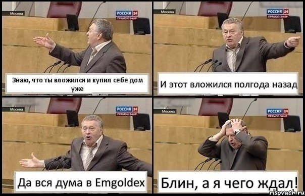 Знаю, что ты вложился и купил себе дом уже И этот вложился полгода назад Да вся дума в Emgoldex Блин, а я чего ждал!, Комикс Жирик в шоке хватается за голову