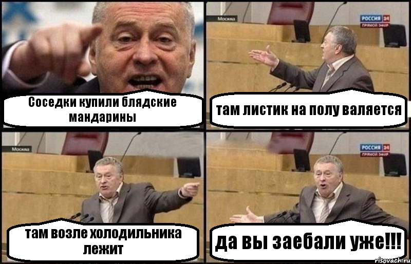 Соседки купили блядские мандарины там листик на полу валяется там возле холодильника лежит да вы заебали уже!!!, Комикс Жириновский