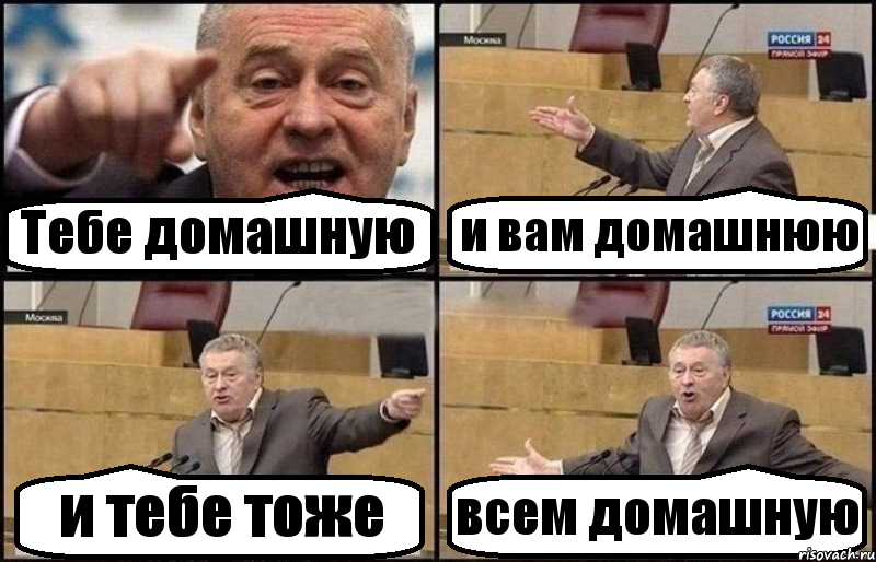 Тебе домашную и вам домашнюю и тебе тоже всем домашную, Комикс Жириновский