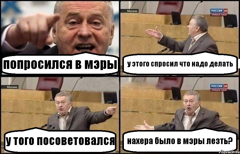 попросился в мэры у этого спросил что надо делать у того посоветовался нахера было в мэры лезть?, Комикс Жириновский