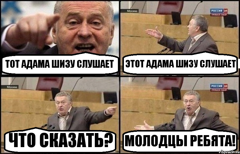 ТОТ АДАМА ШИЗУ СЛУШАЕТ ЭТОТ АДАМА ШИЗУ СЛУШАЕТ ЧТО СКАЗАТЬ? МОЛОДЦЫ РЕБЯТА!, Комикс Жириновский