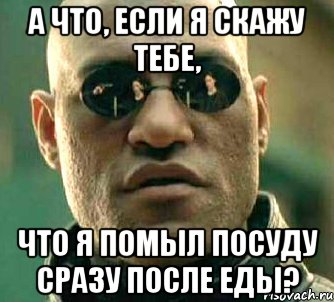 а что, если я скажу тебе, что я помыл посуду сразу после еды?, Мем  а что если я скажу тебе