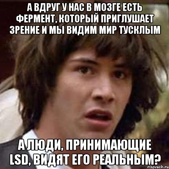 а вдруг у нас в мозге есть фермент, который приглушает зрение и мы видим мир тусклым а люди, принимающие lsd, видят его реальным?, Мем А что если (Киану Ривз)