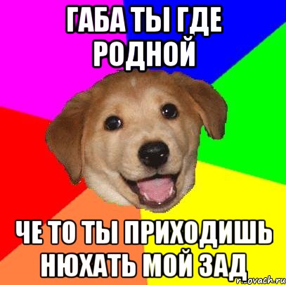 габа ты где родной че то ты приходишь нюхать мой зад, Мем Advice Dog