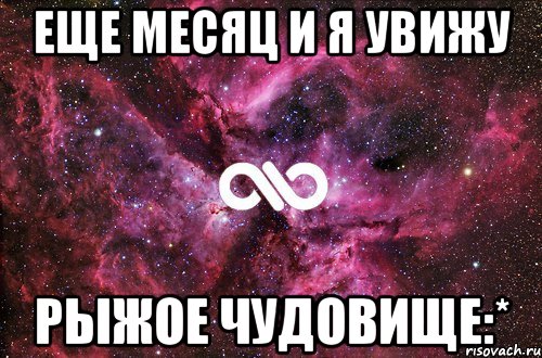 еще месяц и я увижу рыжое чудовище:*, Мем офигенно