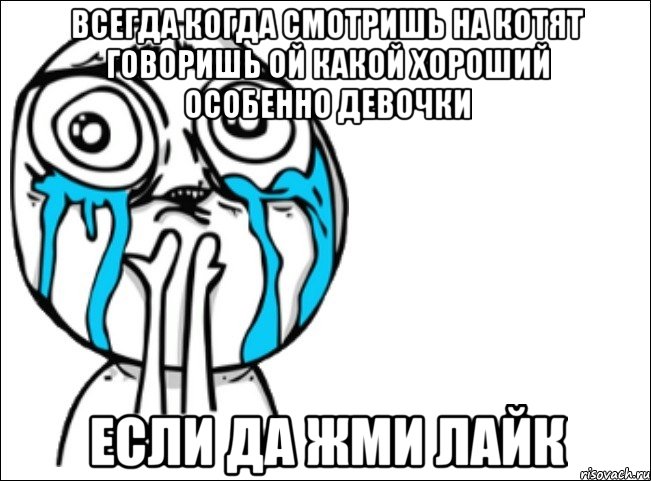 всегда когда смотришь на котят говоришь ой какой хороший особенно девочки если да жми лайк, Мем Это самый