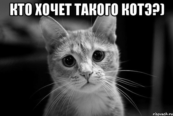 кто хочет такого котэ?) , Мем Авм