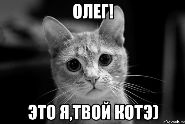 олег! это я,твой котэ), Мем Авм