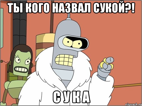 ты кого назвал сукой?! с у к а, Мем Бендер