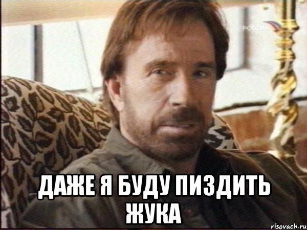  даже я буду пиздить жука, Мем чак норрис