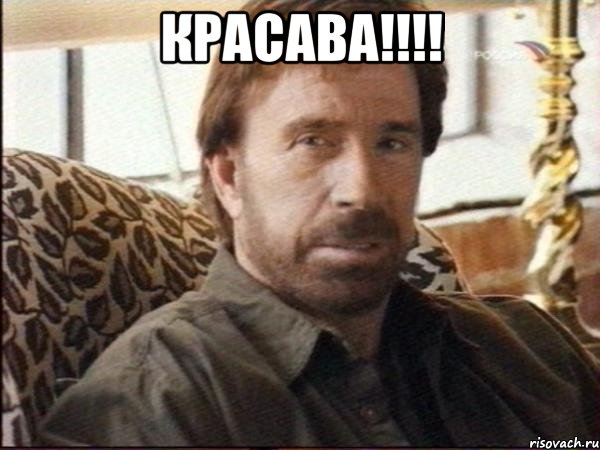 красава!!! , Мем чак норрис