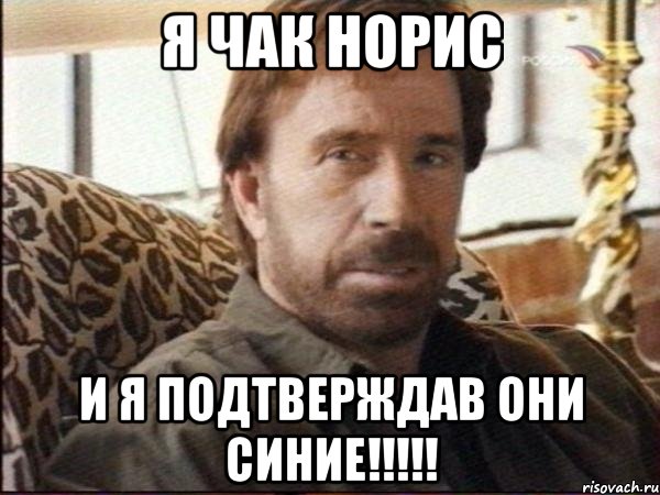я чак норис и я подтверждав они синие!!!, Мем чак норрис
