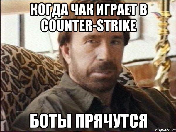 когда чак играет в counter-strike боты прячутся, Мем чак норрис