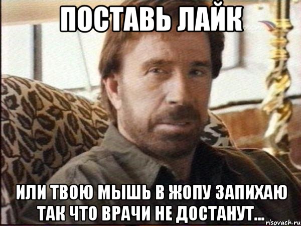 поставь лайк или твою мышь в жопу запихаю так что врачи не достанут..., Мем чак норрис