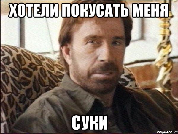 хотели покусать меня суки, Мем чак норрис