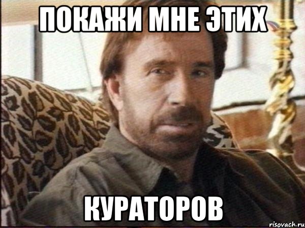 покажи мне этих кураторов, Мем чак норрис
