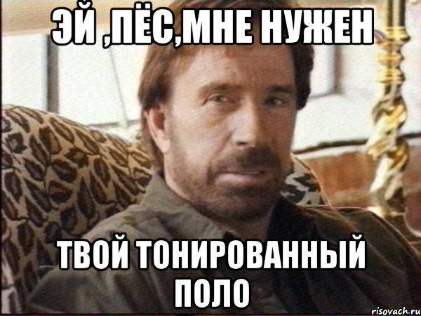 эй ,пёс,мне нужен твой тонированный поло, Мем чак норрис