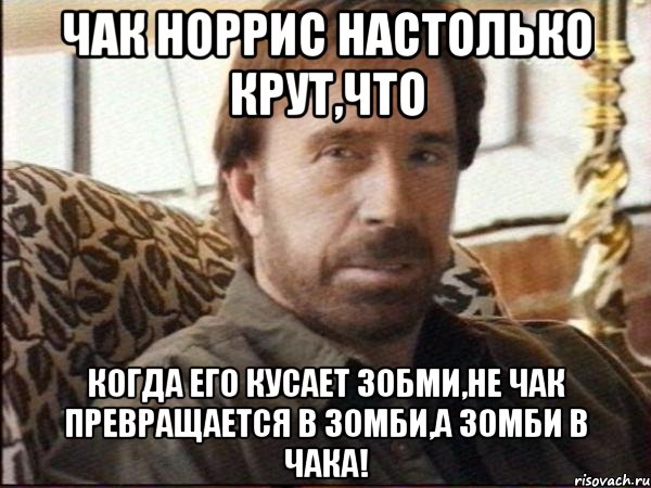 чак норрис настолько крут,что когда его кусает зобми,не чак превращается в зомби,а зомби в чака!, Мем чак норрис