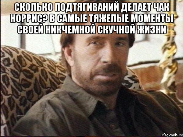 сколько подтягиваний делает чак норрис? в самые тяжелые моменты своей никчемной скучной жизни , Мем чак норрис