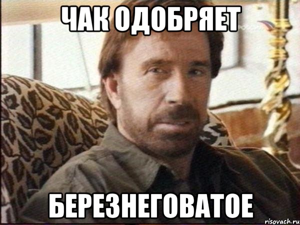 чак одобряет березнеговатое, Мем чак норрис