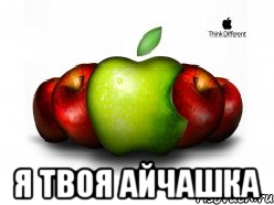  я твоя айчашка, Мем Цветной apple