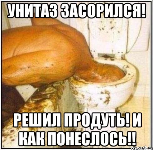 унитаз засорился! решил продуть! и как понеслось!!, Мем Дайвер