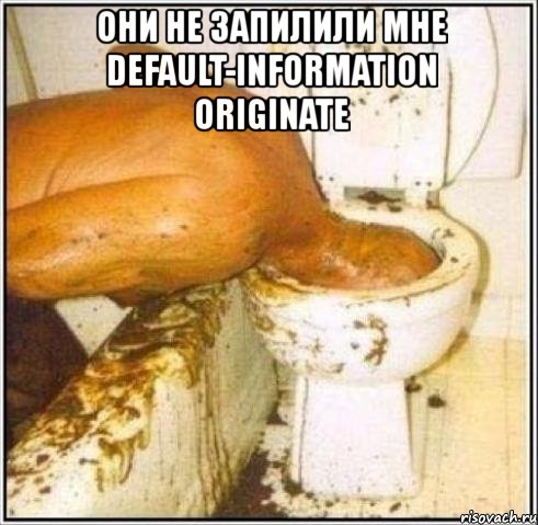 они не запилили мне default-information originate , Мем Дайвер