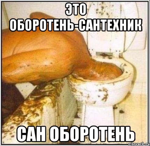 это оборотень-сантехник сан оборотень, Мем Дайвер