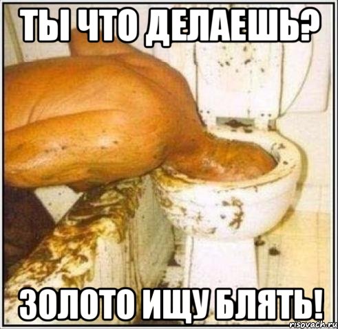 ты что делаешь? золото ищу блять!, Мем Дайвер