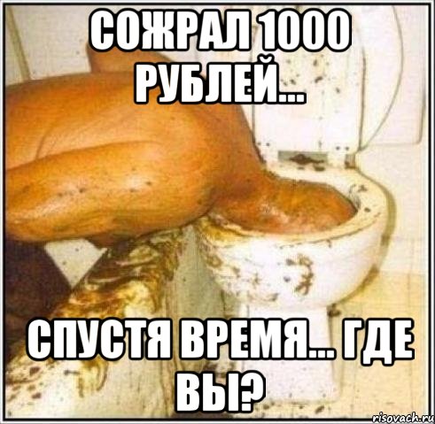 сожрал 1000 рублей... спустя время... где вы?, Мем Дайвер