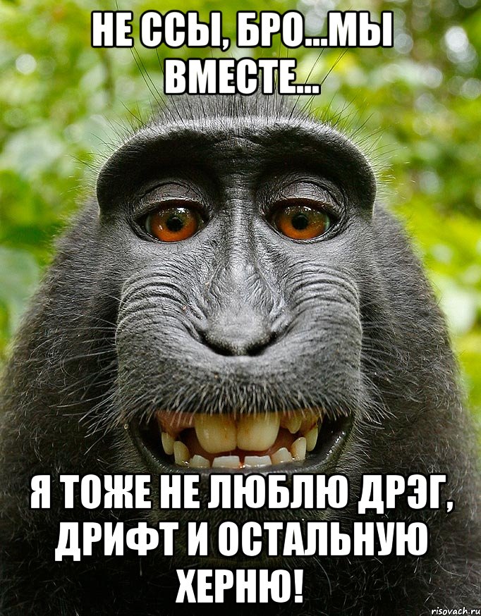 не ссы, бро...мы вместе... я тоже не люблю дрэг, дрифт и остальную херню!