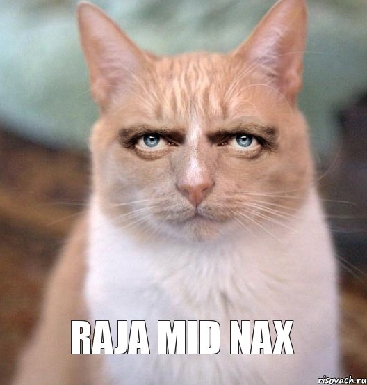 Raja mid nax