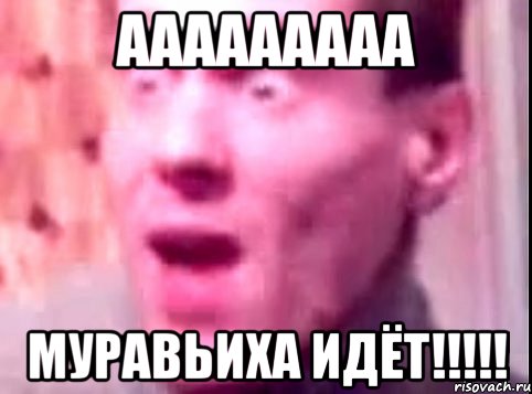 ааааааааа муравьиха идёт!!!, Мем Дверь мне запили