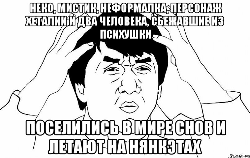 неко, мистик, неформалка, персонаж хеталии и два человека, сбежавшие из психушки поселились в мире снов и летают на нянкэтах, Мем ДЖЕКИ ЧАН