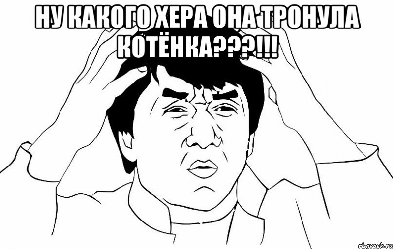 ну какого хера она тронула котёнка???!!! , Мем ДЖЕКИ ЧАН